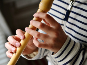 Blockflöte lernen mit Blockflötenunterricht und Blockflötenlehrer in Vienenburg