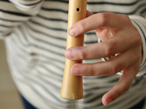 Blockflöte lernen mit Blockflötenunterricht und Blockflötenlehrer in Möhnesee