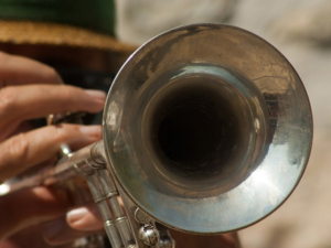 Trompete lernen mit Trompetenunterricht und Trompetenlehrer in Mockrehna